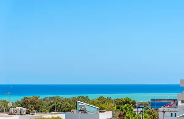 Villa with 4 bedrooms in Guardamar del Segura, Alicante, €1,250,000 — photo 4