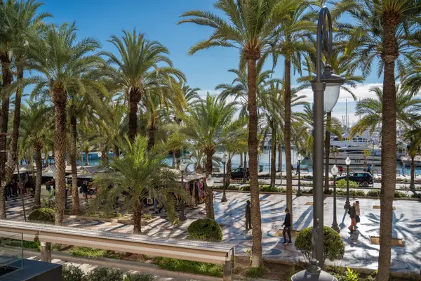 Apartment with 2 bedrooms in Alicante, Alicante, €1,100,000 — photo 2