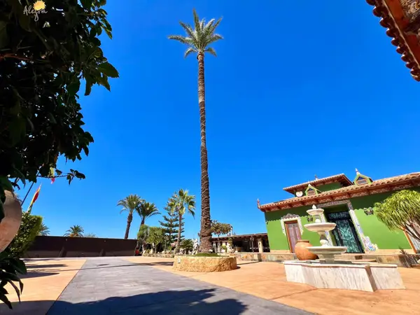 Villa with 4 bedrooms in Almoradí, Alicante, €1,180,000 — photo 4