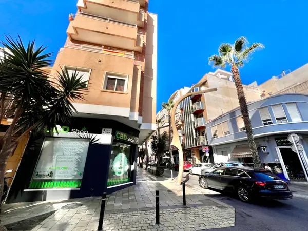 Commercial in Torrevieja, Alicante, €235,000 — photo 2