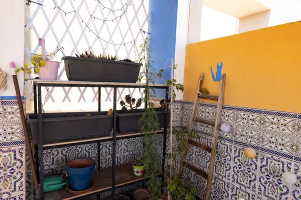 Duplex with 4 bedrooms in Torrevieja, Alicante, €237,000 — photo 3