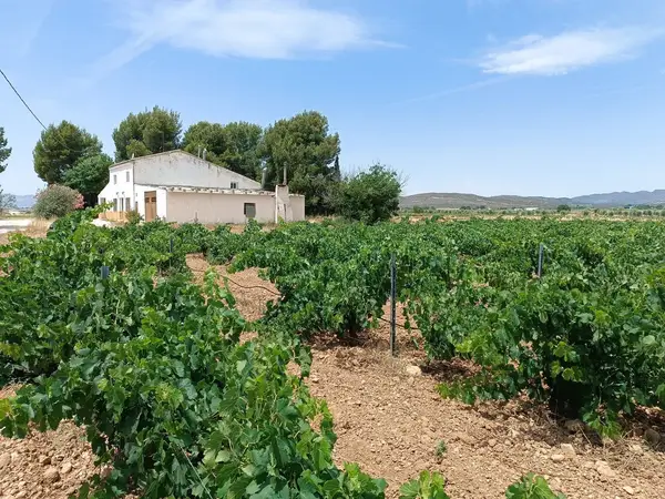 Country_house with 5 bedrooms in Yecla, Murcia, €195,000 — photo 2