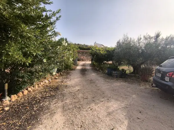 Finca with 3 bedrooms in Pinoso, Alicante, €189,000 — photo 3