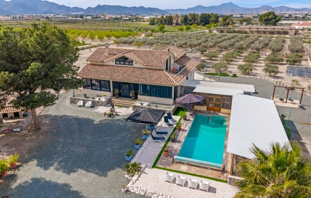 5. Finca / Country Property - Resale - El Esparragal - El Esparragal