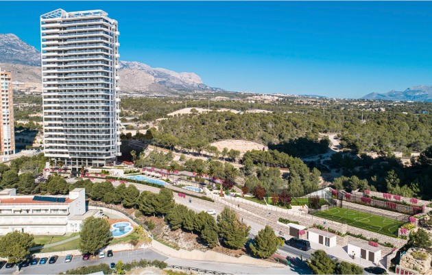 Ático - Nueva construcción  - Benidorm - Benidorm