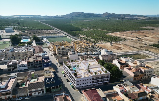 Ground floors - Nouvelle construction - Algorfa - Algorfa