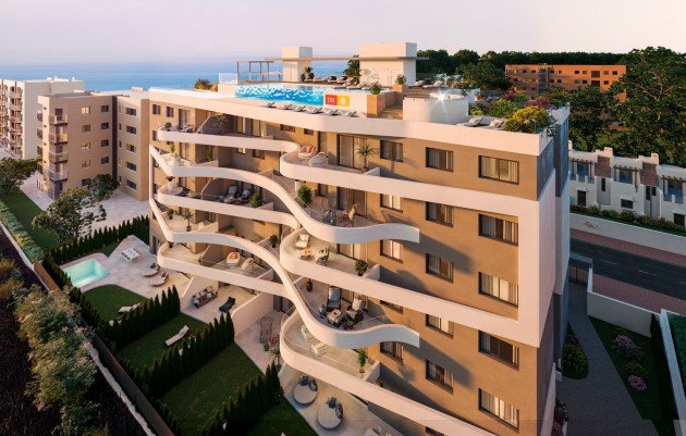 Ground floors - Nueva construcción  - Torrevieja - Torrevieja