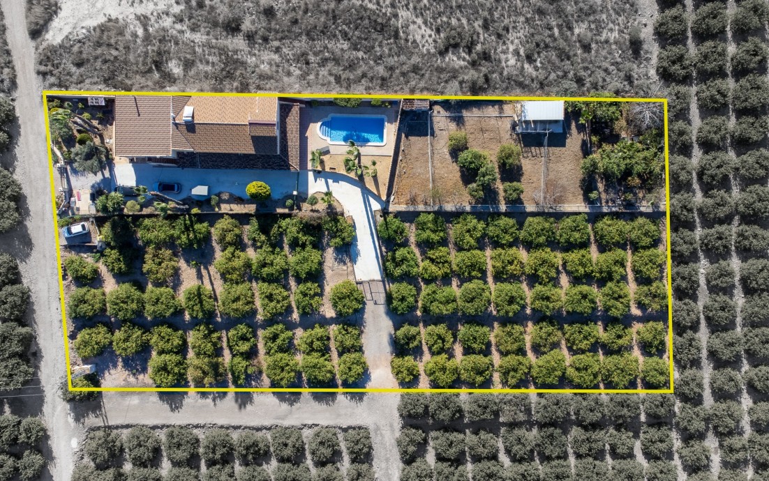 Herverkoop - Finca / Country Property - Orihuela - La Matanza