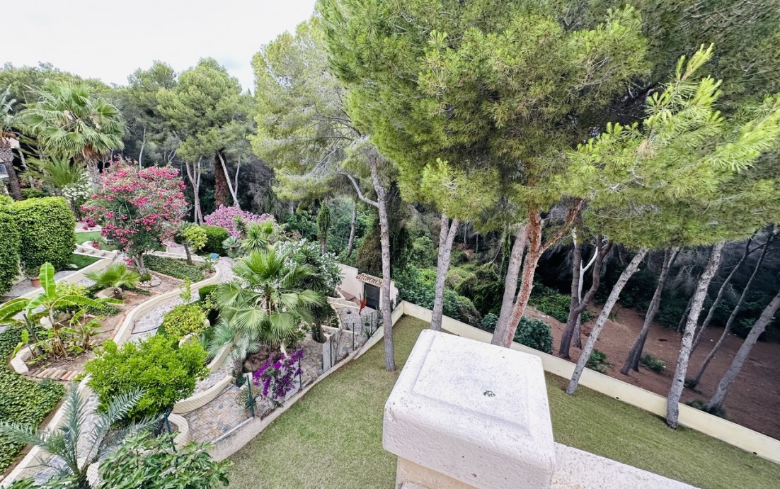 Nouvelle construction - Villa - Dehesa De Campoamor