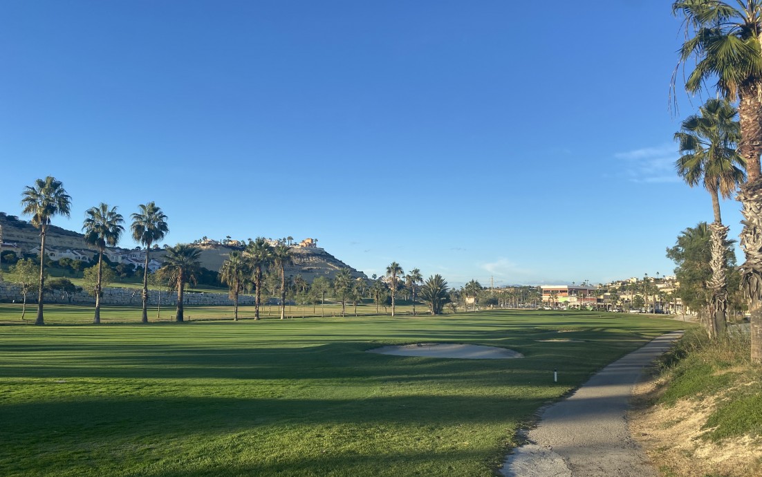 Nouvelle construction - Villas - Rojales