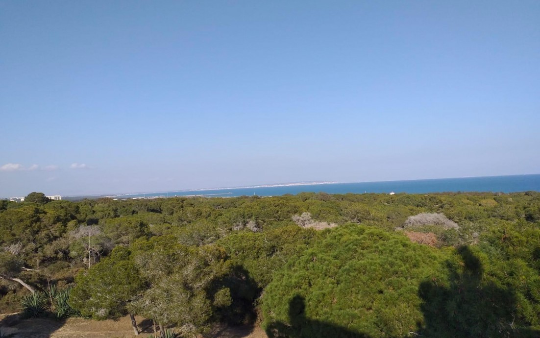 Nueva construcción  - Apartamento - Guardamar del Segura - Pueblo