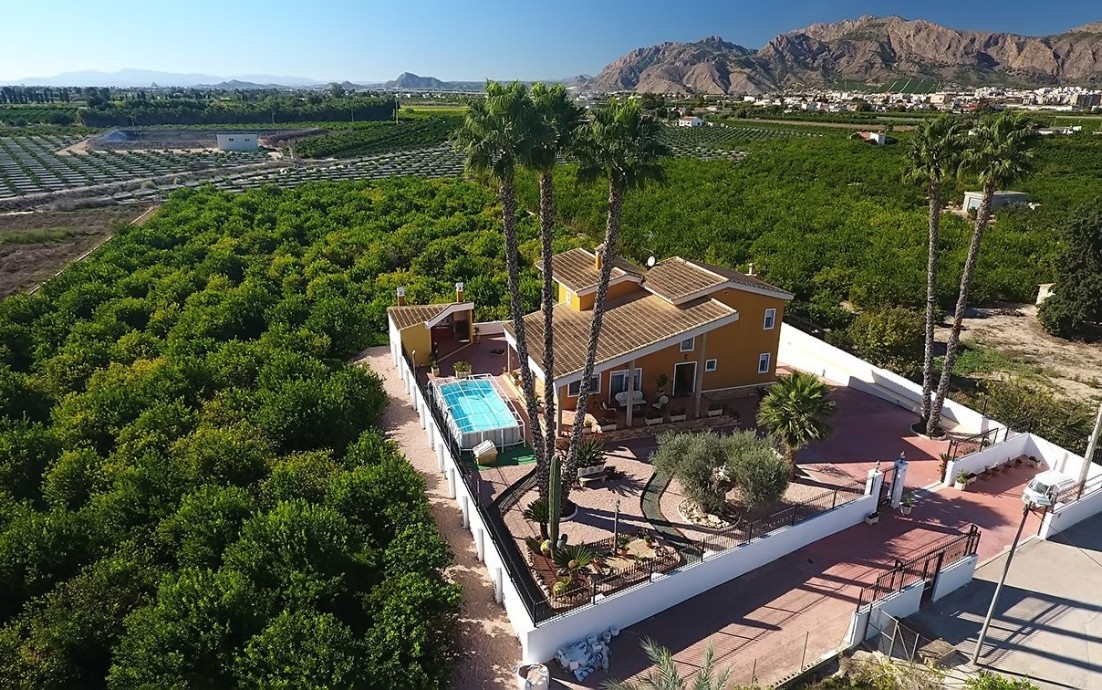 Revente - Finca / Country Property - Orihuela
