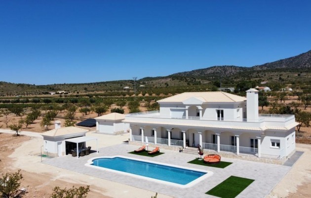 Villa - Nieuwbouw - Pinoso - WOW-88174