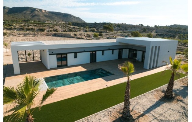 Villas - Nieuwbouw - Pinoso - Pinoso