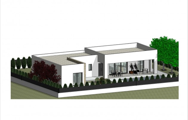 Nouvelle construction - Villa - Pinoso - Lel