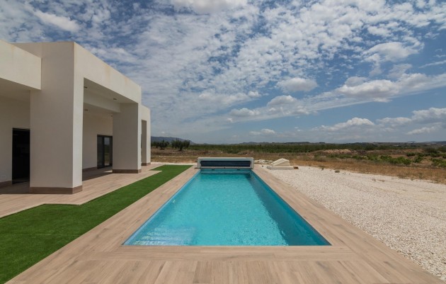 New Build - Villa - Pinoso - Campo