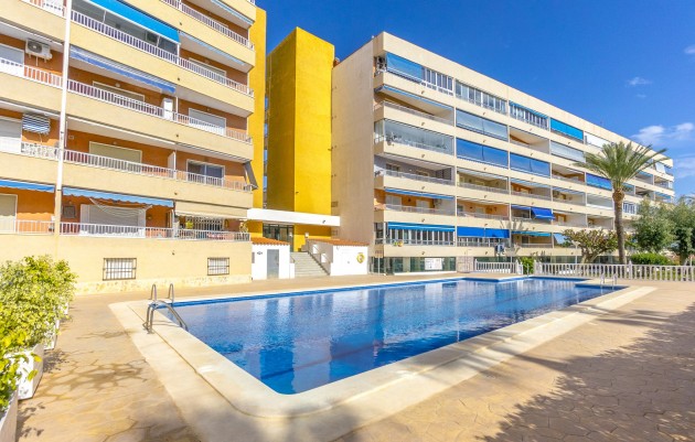 Herverkoop - Appartement - Punta Prima - El Acequión