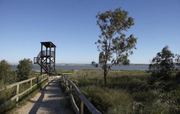 Nieuwbouw - Bungalow - Torrevieja - Aguas Nuevas