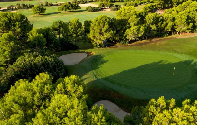 Nueva construcción  - Villa - Pilar de la Horadada - Lo Romero Golf