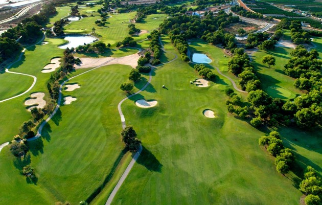 Nueva construcción  - Villa - Pilar de la Horadada - Lo Romero Golf