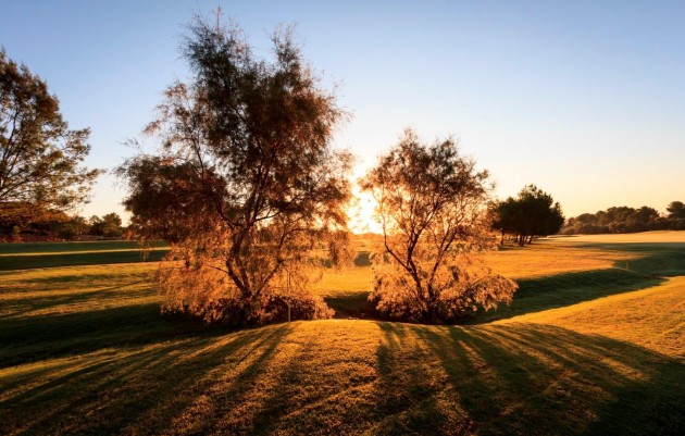 Nueva construcción  - Villa - Pilar de la Horadada - Lo Romero Golf