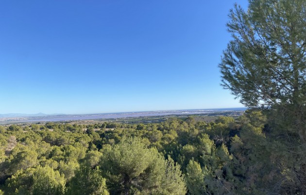 Revente - Villa - San Miguel de Salinas