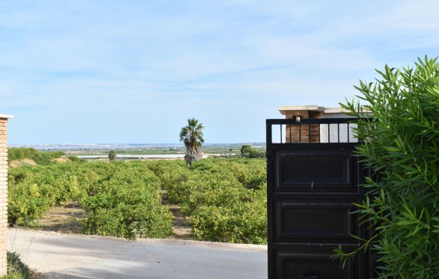 Resale - Villa - Torremendo