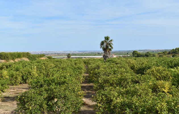 Resale - Villa - Torremendo