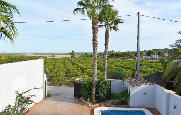 Resale - Villa - Torremendo