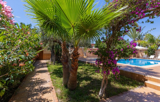 Resale - Villa - Orihuela - Orihuela Costa