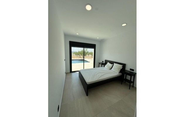 Nouvelle construction - Villa - Pinoso