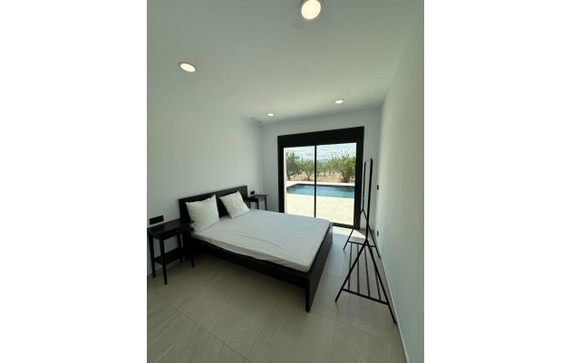 Nouvelle construction - Villa - Pinoso