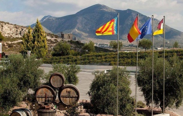 Nouvelle construction - Villa - Pinoso