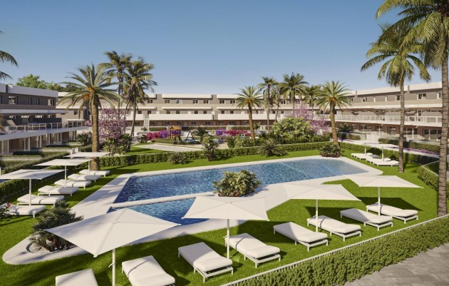 Nouvelle construction - Penthouse - Monforte del Cid