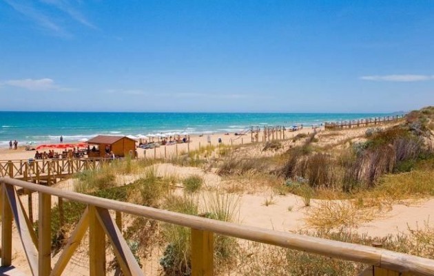 Nouvelle construction - Villa - Benijofar