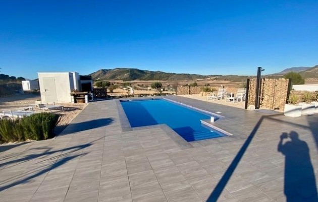 Nouvelle construction - Villa - Jumilla