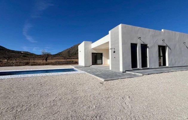 Nouvelle construction - Villa - Jumilla