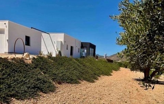 Nouvelle construction - Villa - Jumilla