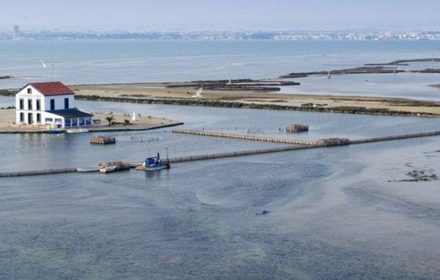 Nouvelle construction - Penthouse - San Pedro del Pinatar