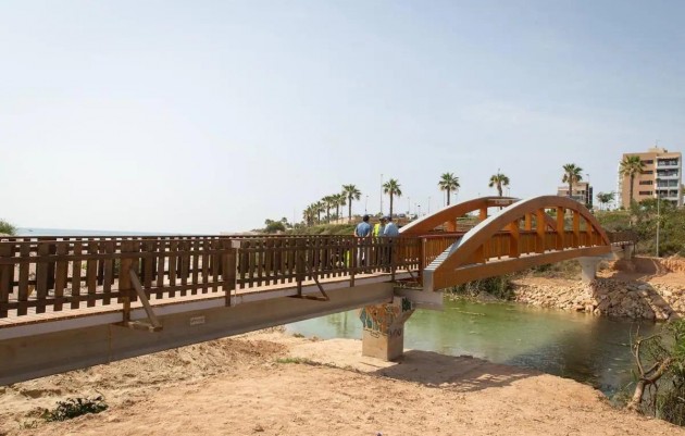 Nouvelle construction - Villa - Pilar de la Horadada