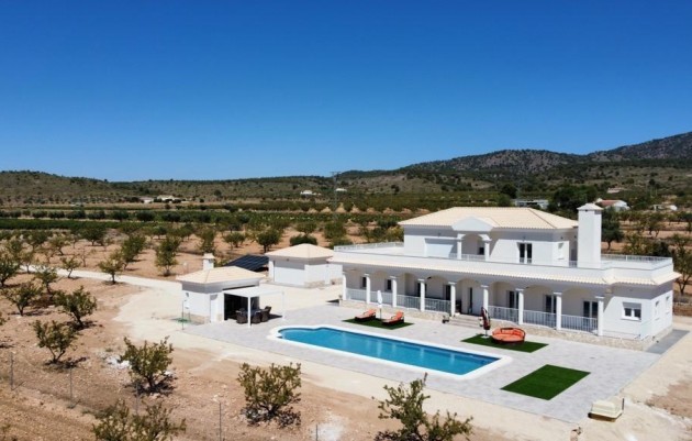 Nouvelle construction - Villa - Pinoso
