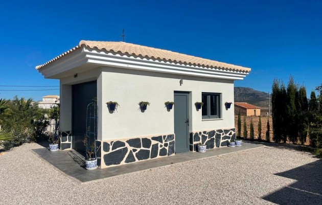 Nouvelle construction - Villa - Pinoso