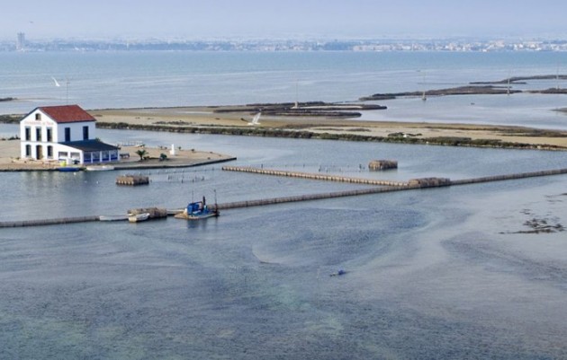 Nouvelle construction - Villa - San Pedro del Pinatar