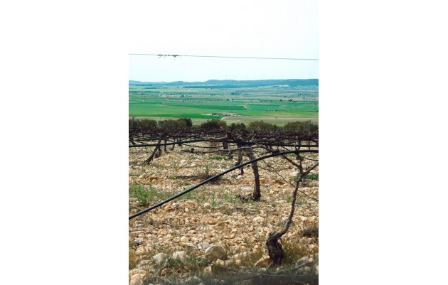 Nouvelle construction - Villa - Yecla