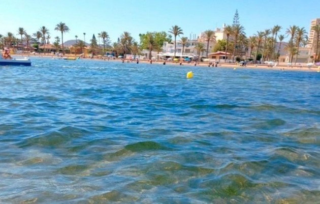 Nouvelle construction - Semidetached - Torre Pacheco