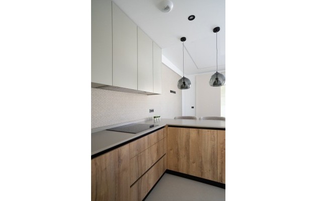 Nouvelle construction - Villa - San Miguel de Salinas