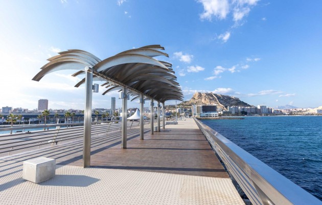 Nieuwbouw - Penthouse - Alicante - Centro