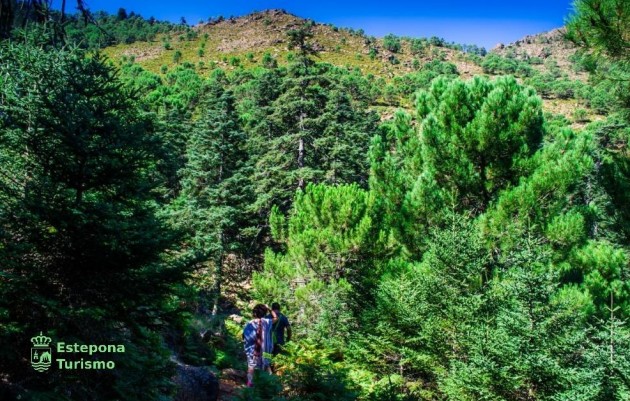 Nieuwbouw - Appartement - Estepona - Playa de La Rada