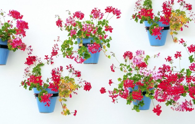 Nieuwbouw - Appartement - Mijas - La Noria Golf