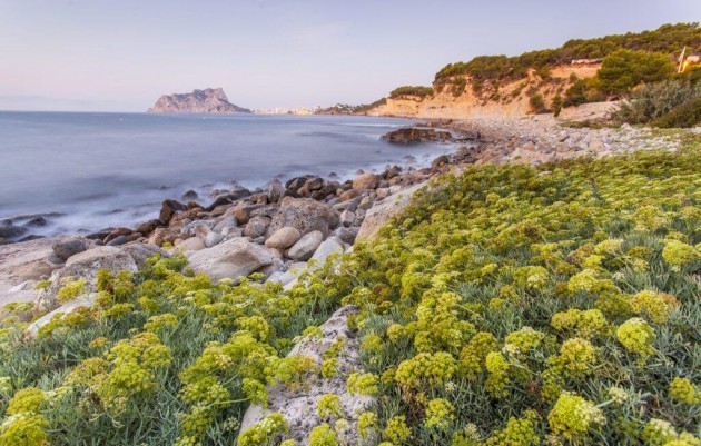 Nouvelle construction - Villa - Benissa - Cala Advocat